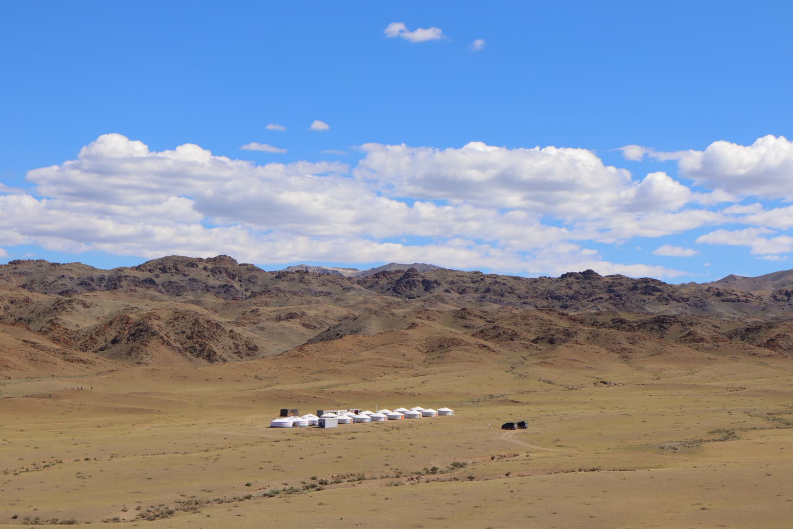Field view · Gobi-Altai, Mongolia